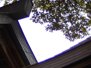 P1550656_.jpg