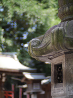 P1550665.jpg